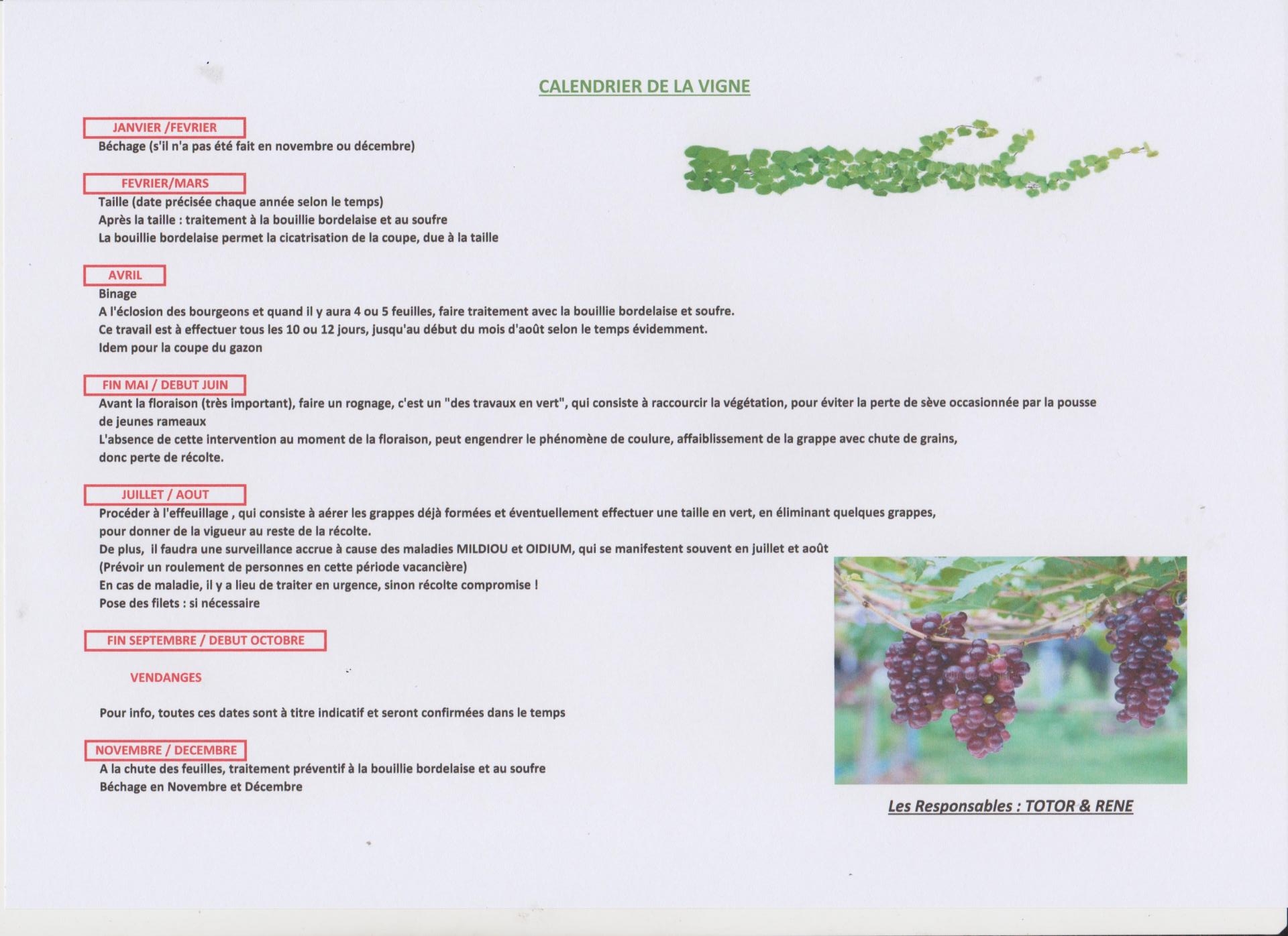 Calendrier vigne 001