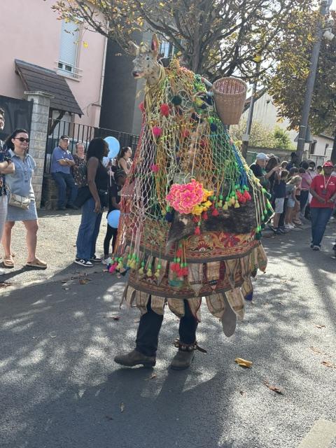 Img 3262