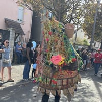 Img 3262