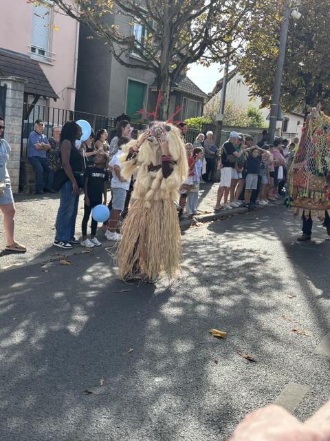 Img 3263