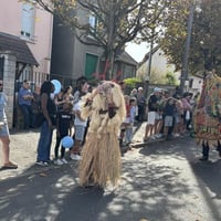 Img 3263