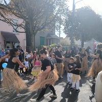 Img 3266
